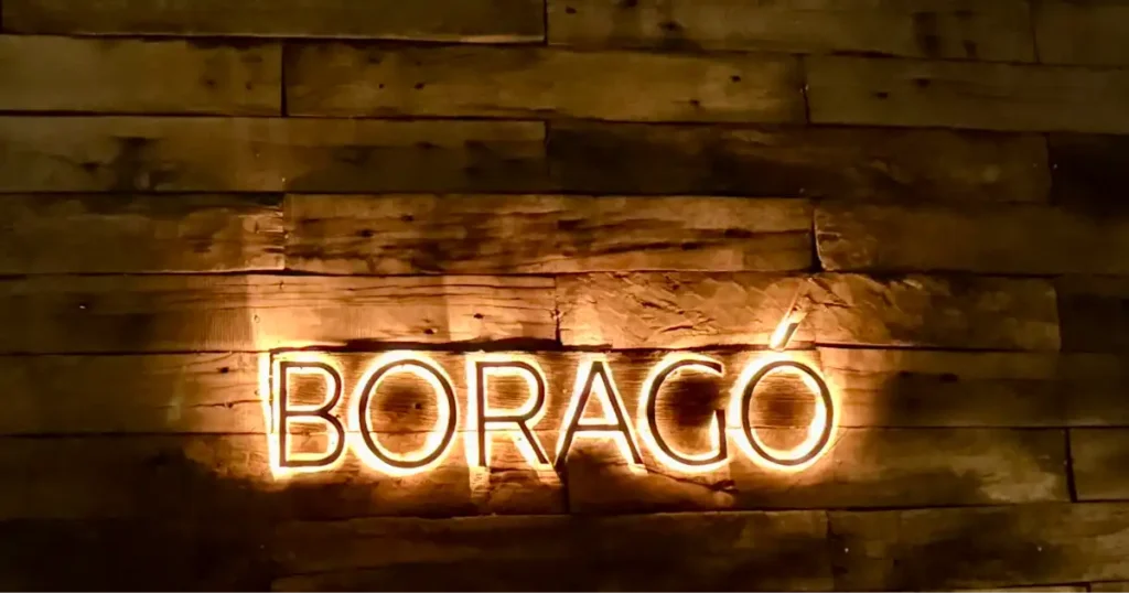 Boragó explores Chile’s biodiversity
